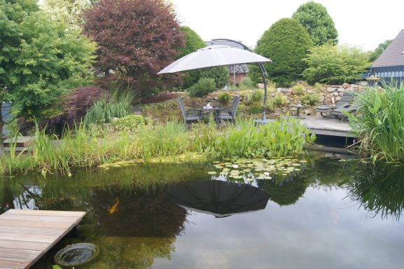 Der große Fischteich mit vielen grünen Teichpflanzen und einem Steg, im Hintergrund die große Terrasse mit Sitzgelegenheiten.