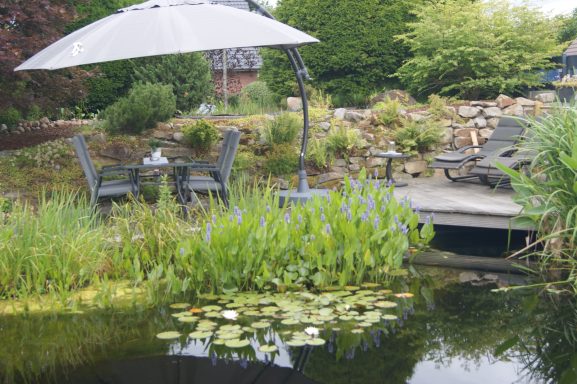 Der große Fischteich mit vielen grünen Teichpflanzen, im Hintergrund die große Terrasse mit Sitzgelegenheiten.