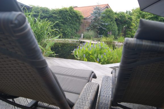 Blick von den beiden Sonnenliegen aus auf den Fischteich.