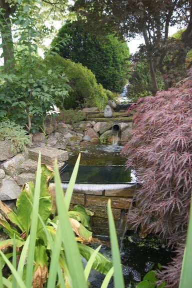 Blick auf den kleinen Wasserfall neben dem Gartenteich.